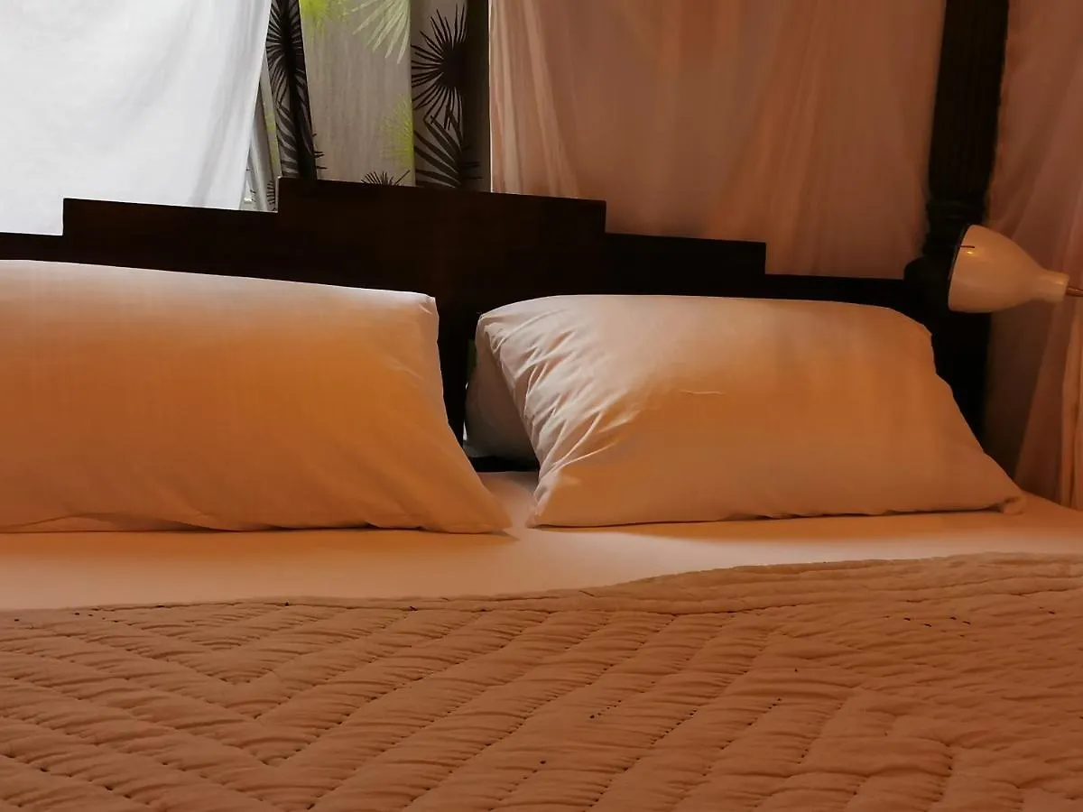Boutique Hostel Lekkerurlaub Berlin