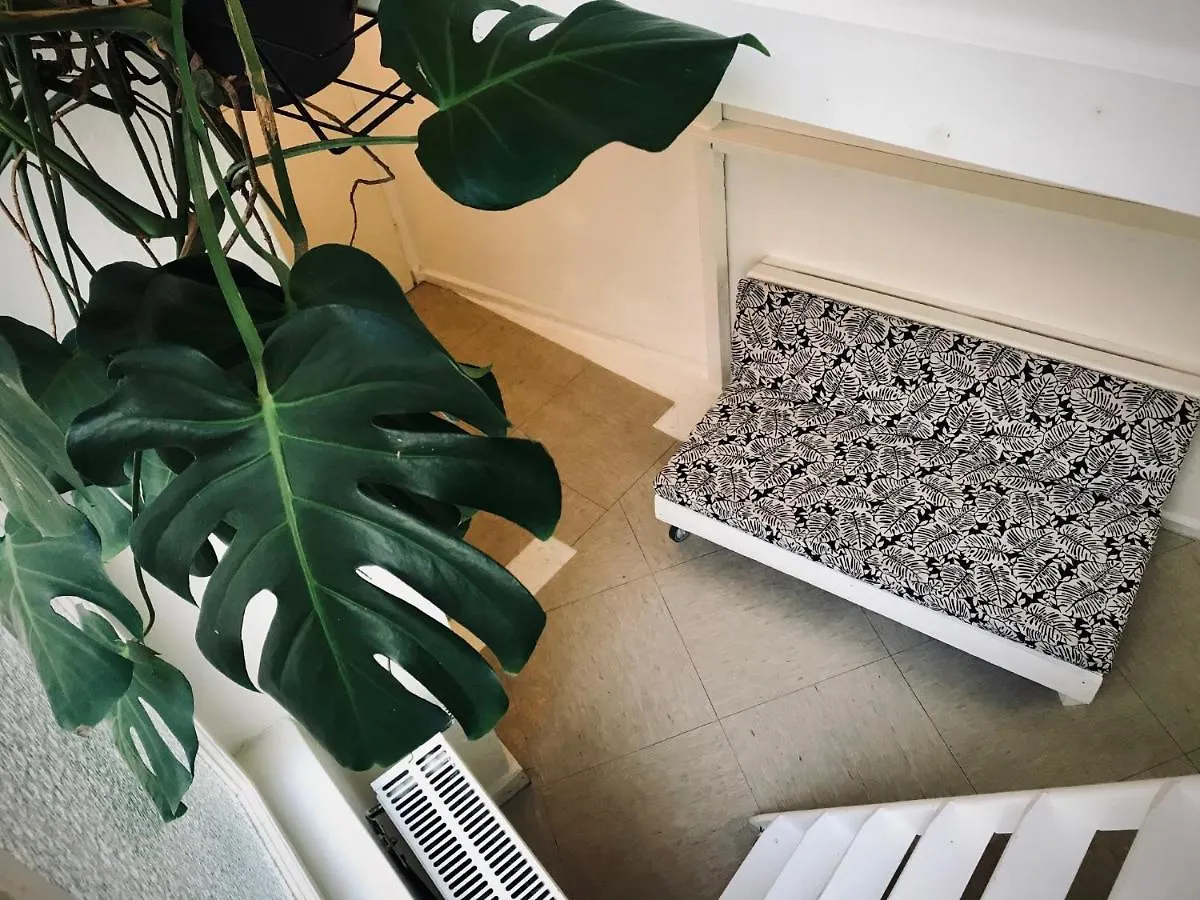 Boutique Hostel Lekkerurlaub Berlin