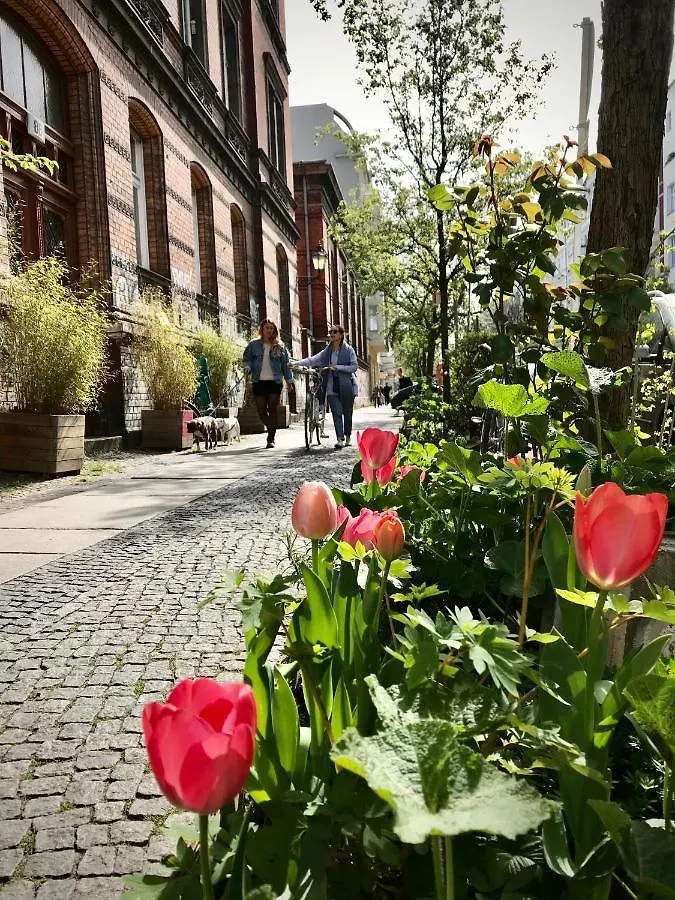 Boutique Hostel Lekkerurlaub Berlin
